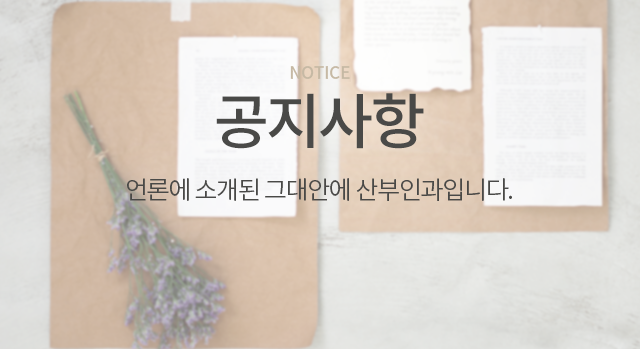 공지사항 백그라운드